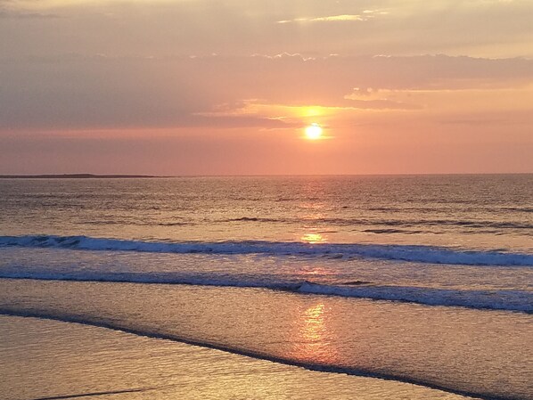 Nær stranden, solsenger og strandhåndklær