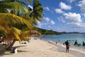 Ein Strand mit Palmen, badenden Personen und blauem Himmel.