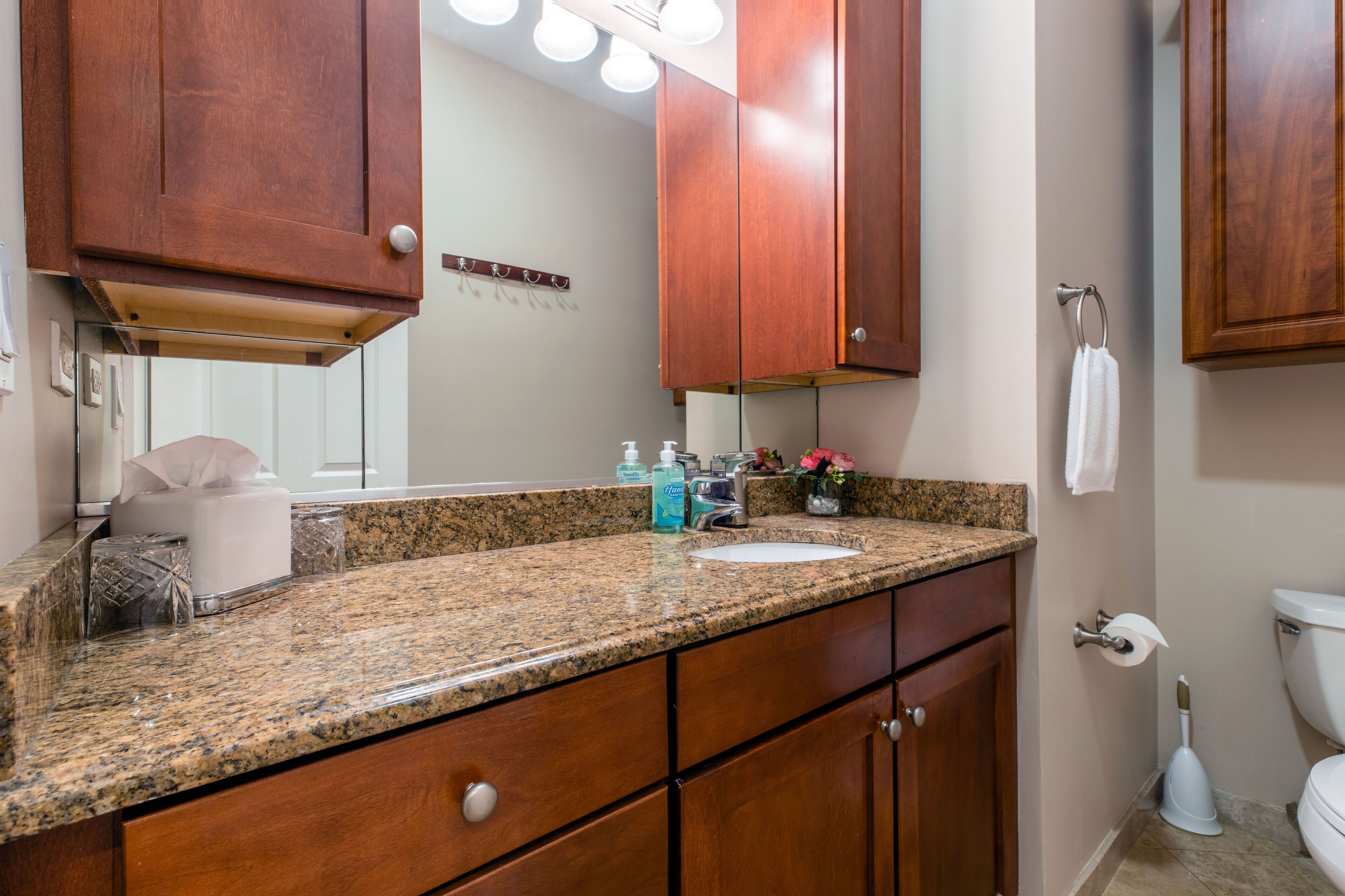 A bathroom with wooden cabinets, a granite countertop, a sink, and a toilet.