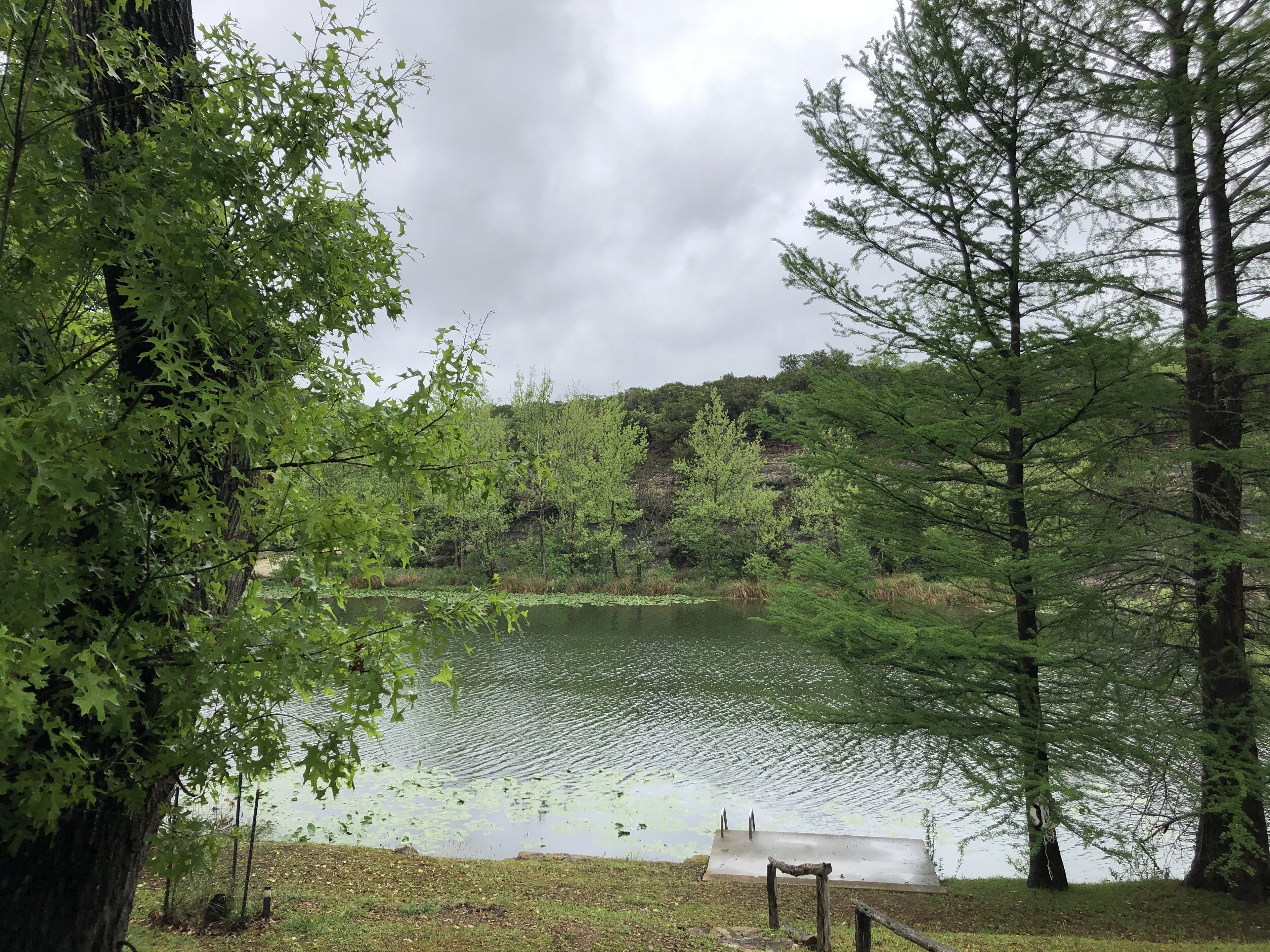 Vaden Hunt House-Log House w/private Guadalupe River access