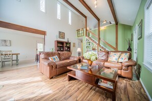 Smart TV, fireplace, DVD player, books