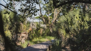 A wooden boardwalk surrounded by dense tropical vegetation. - 3BR Chachalaca Retreat on Sapelo w/ firepit, screened-in porch, & beach supplies (Sapelo Island)
