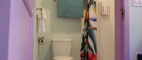Ein Badezimmer mit Toilette, Handtuchhalter, Duschvorhang und einem an der Wand befestigten Lichtschalter.