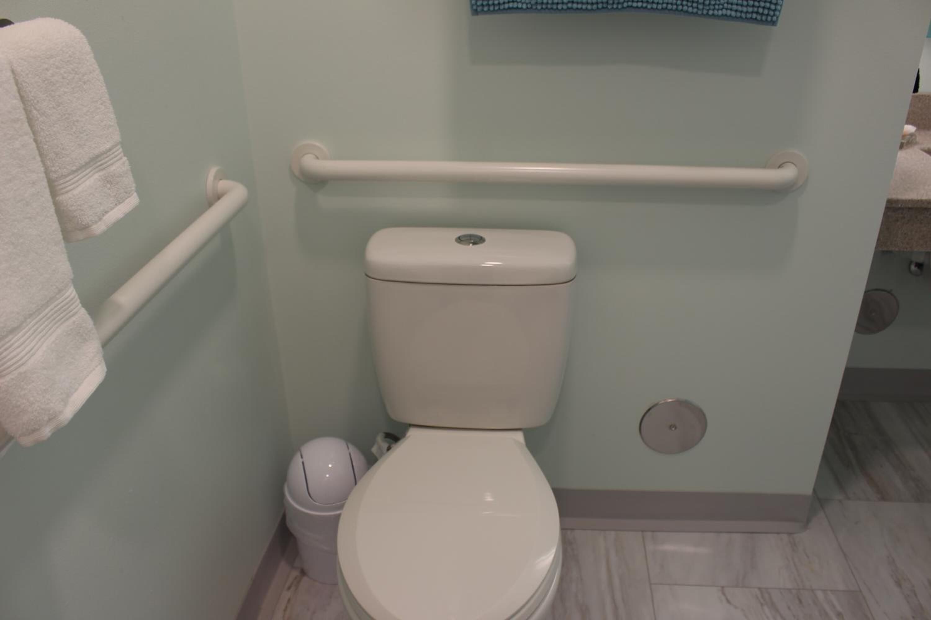 Et badeværelse med et hvidt toilet, gelænder og et håndklædetørrestativ.
