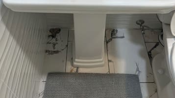 Shower, towels, soap, toilet paper