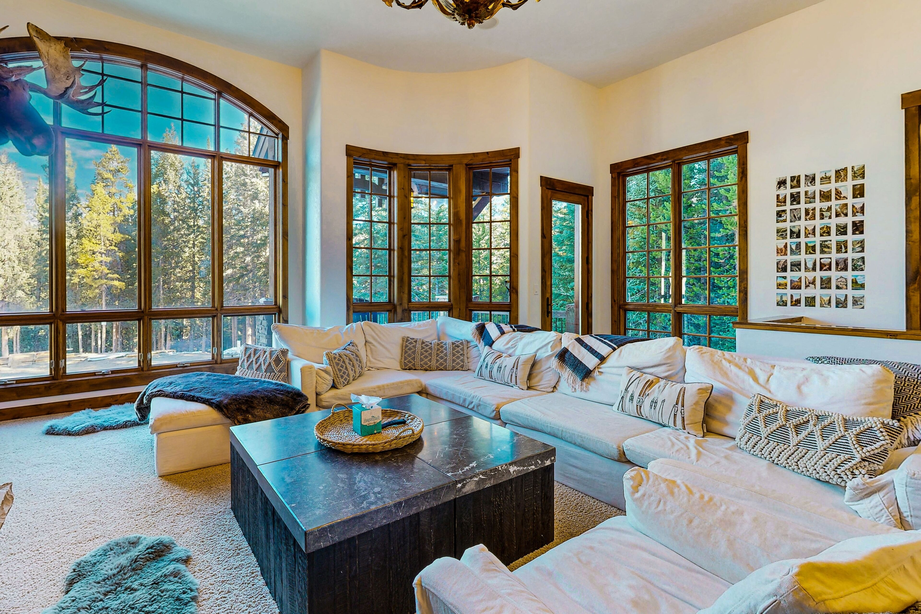 Télévision, cheminée, lecteur de DVD