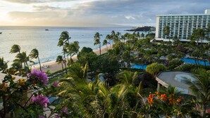 A resort with a beach view, a pool, and palm trees.