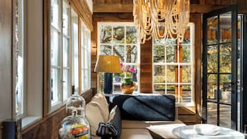 Smart TV, fireplace, DVD player, books