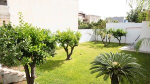 Un patio cuidado con varios árboles, una palmera y una pared blanca.