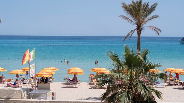 Una playa con sombrillas y palmeras.