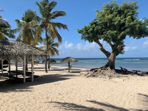 Beach nearby, sun-loungers