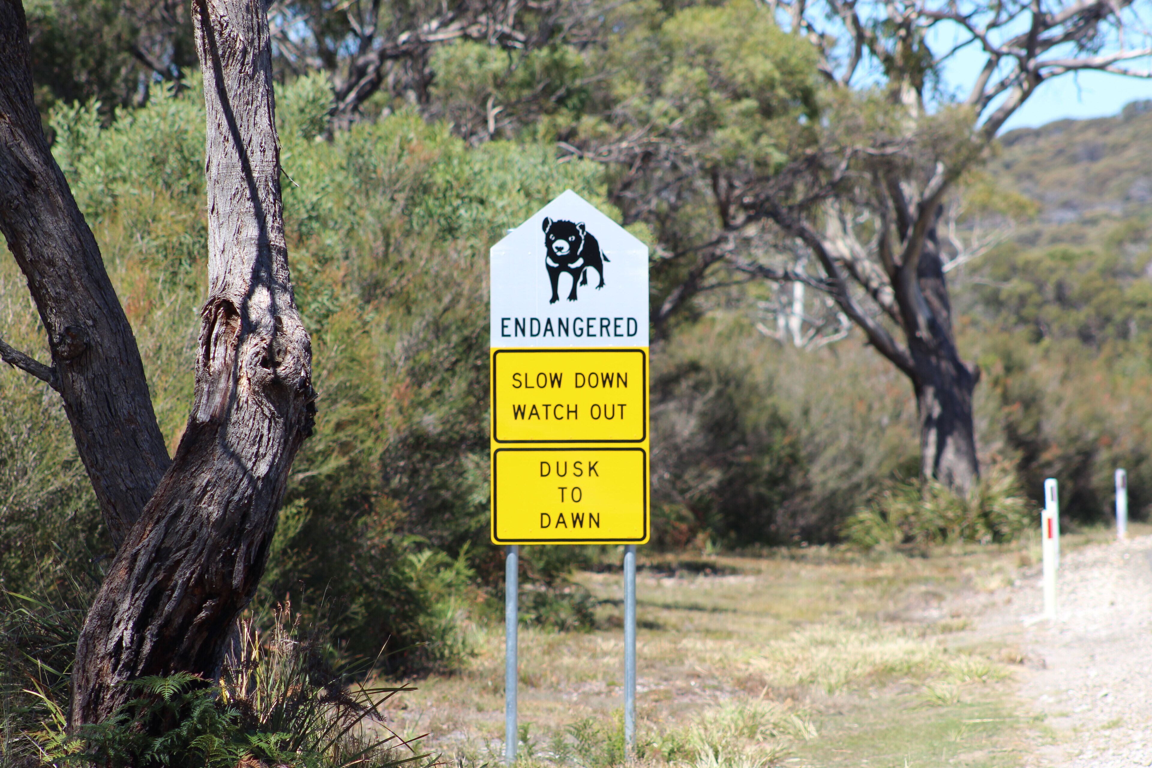 Secluded Luxury — image 28