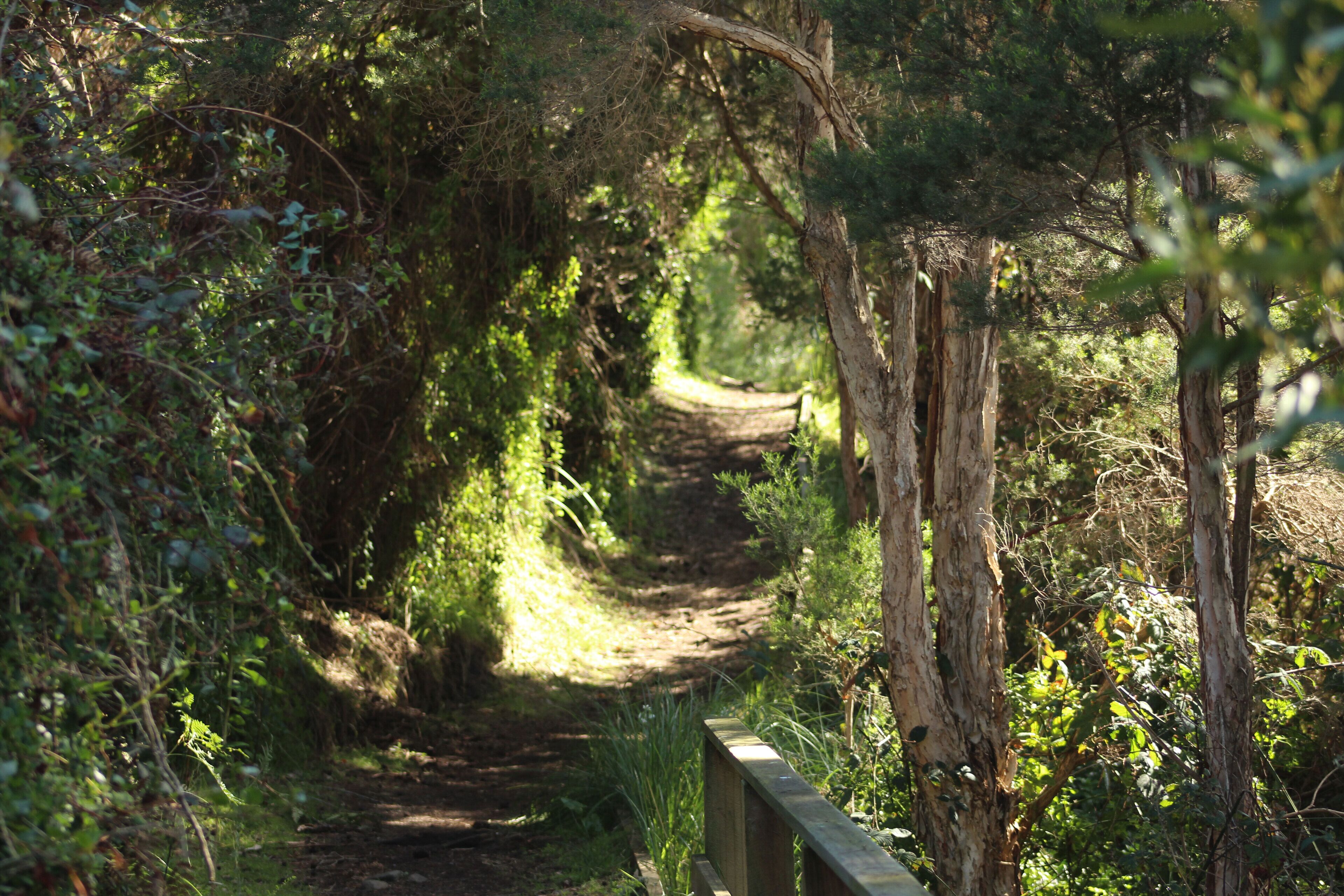 Secluded Luxury — image 25