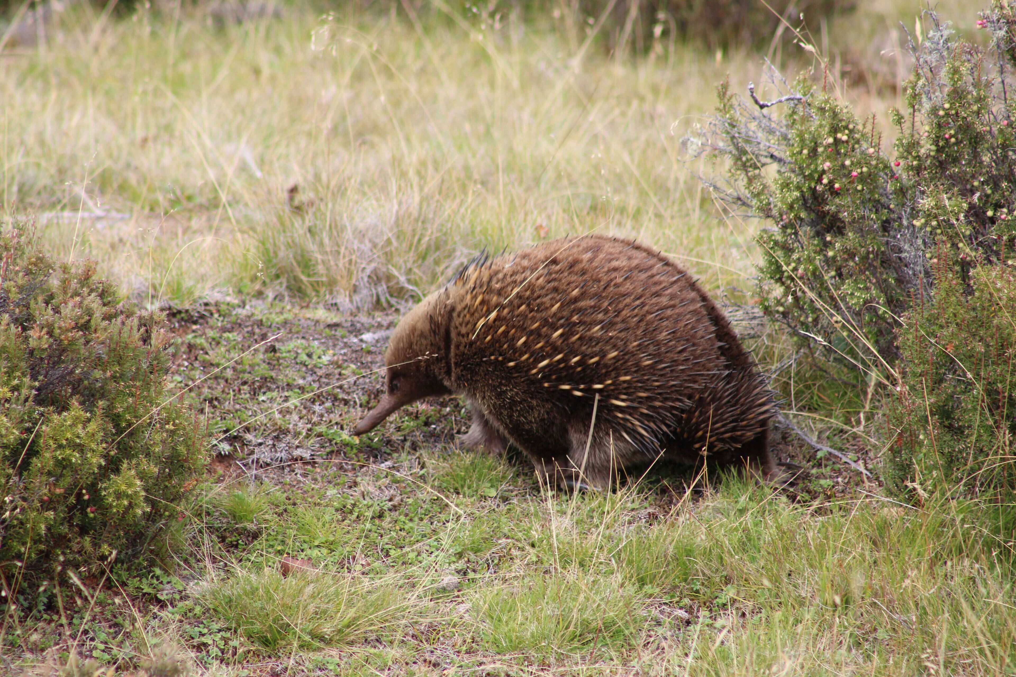 Secluded Luxury — image 27