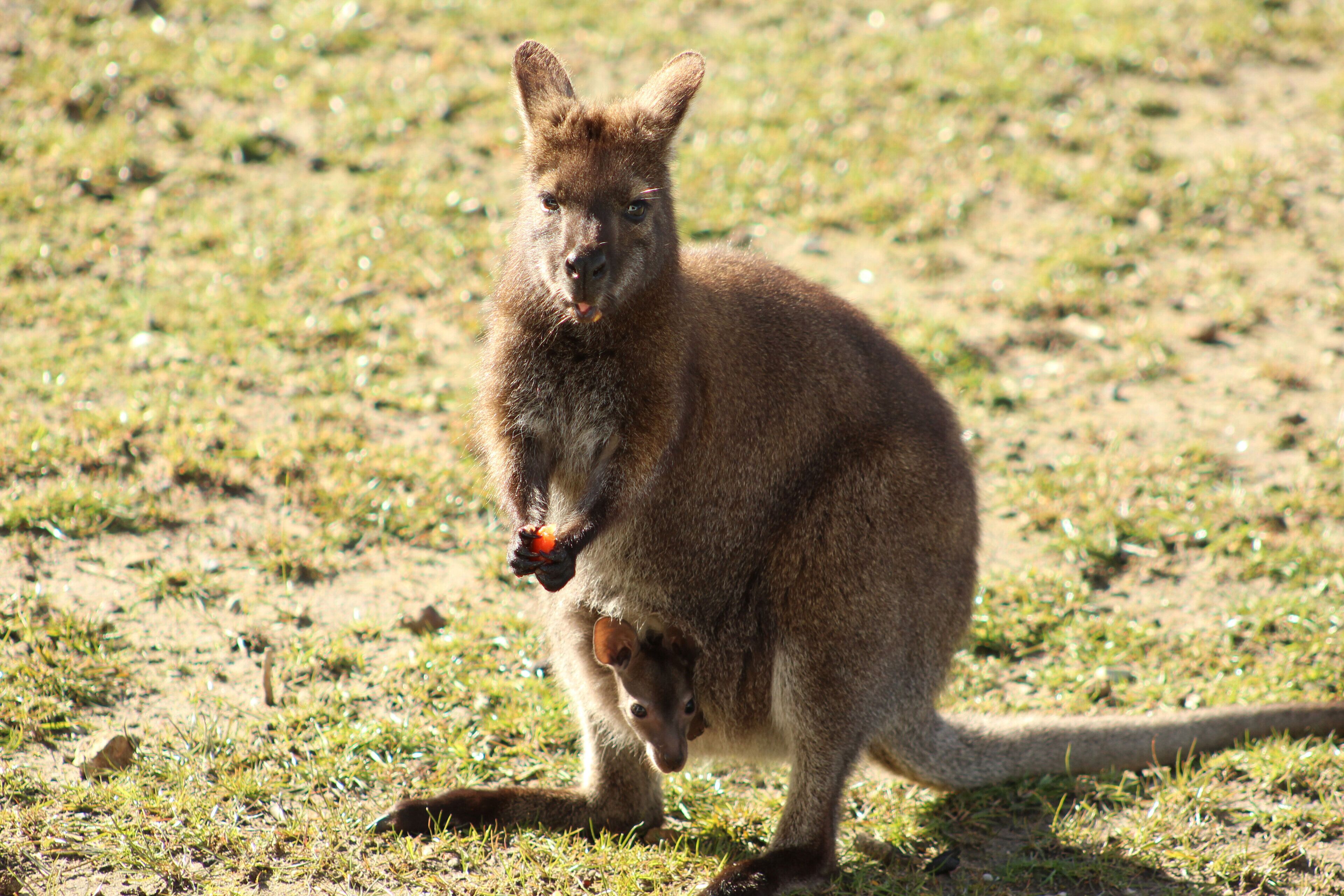 Secluded Luxury — image 26