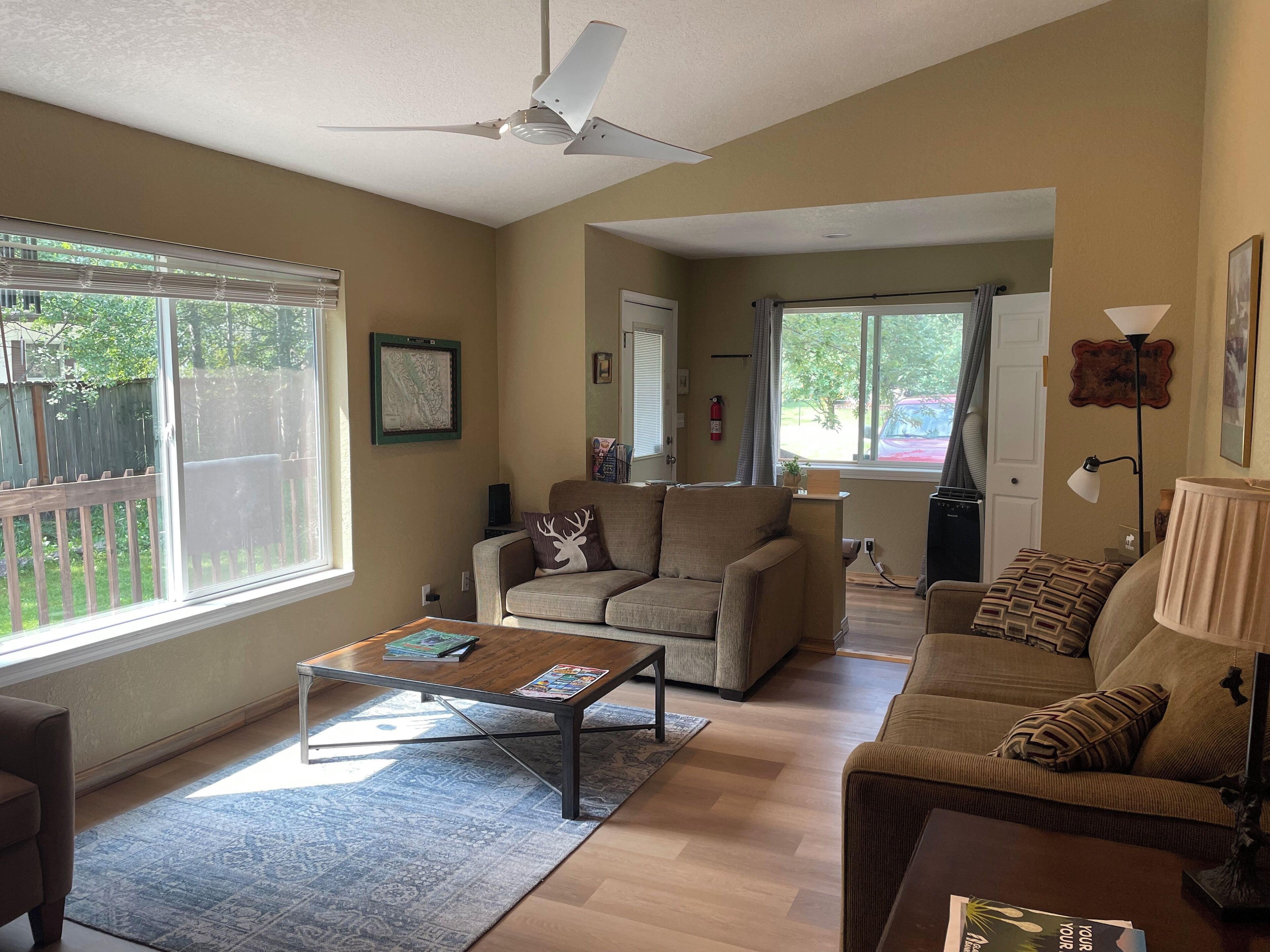 TV, DVD player, books, video library