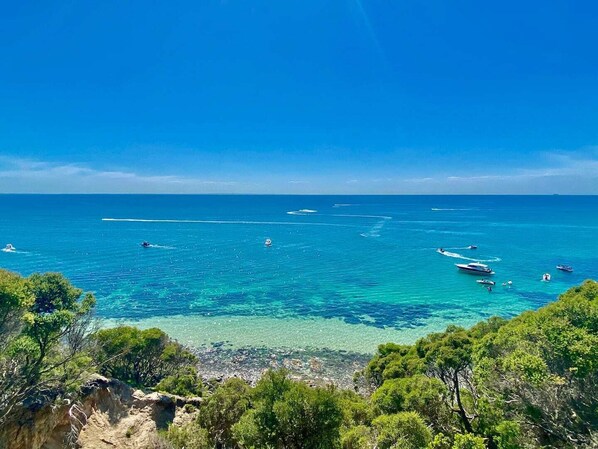 On the beach, sun loungers - OCEANFRONT | Kids Pet Friendly | Pool Spa Bar Gym (Mount Martha)