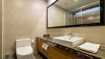 A modern bathroom with a toilet, sink, and mirror.