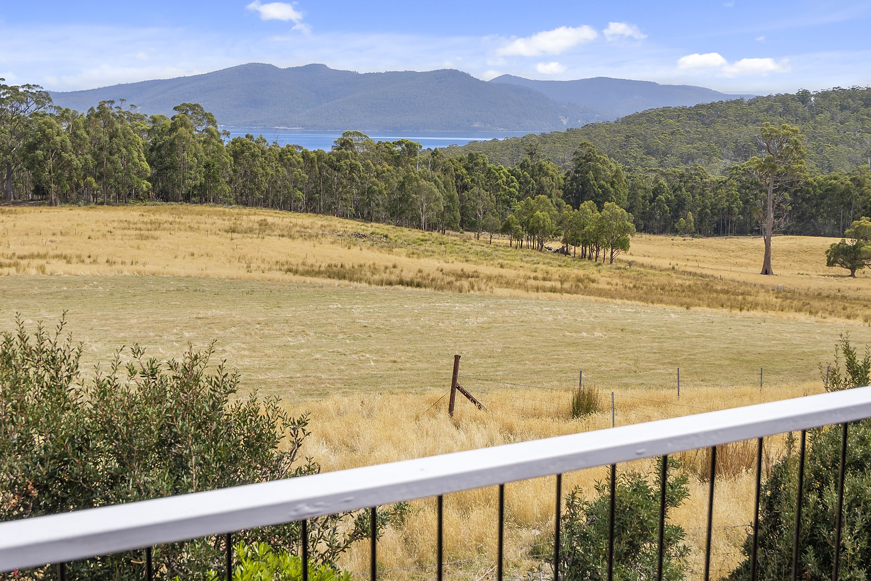 A view of a grassy field with trees and a mountain in the background.