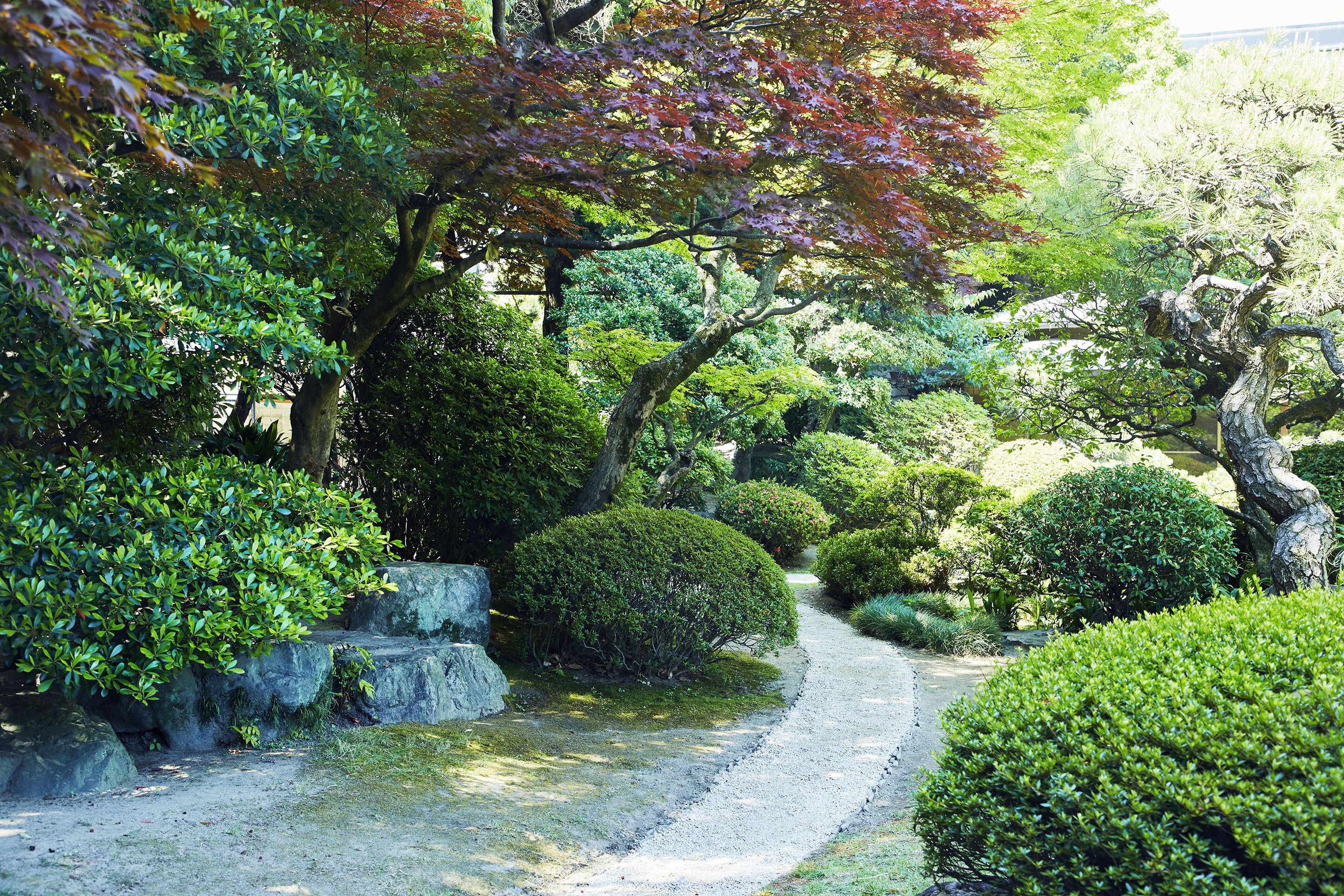A garden pathway surrounded by various types of trees and shrubs.