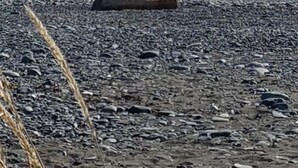 Una playa con dos personas sentadas sobre una roca, una orilla pedregosa y alguien en el agua.