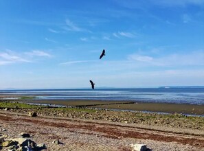 Beach nearby, beach towels