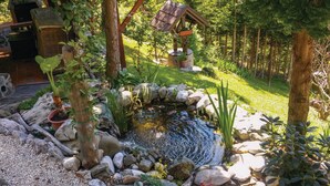 A garden with a pond, rocks, and plants.