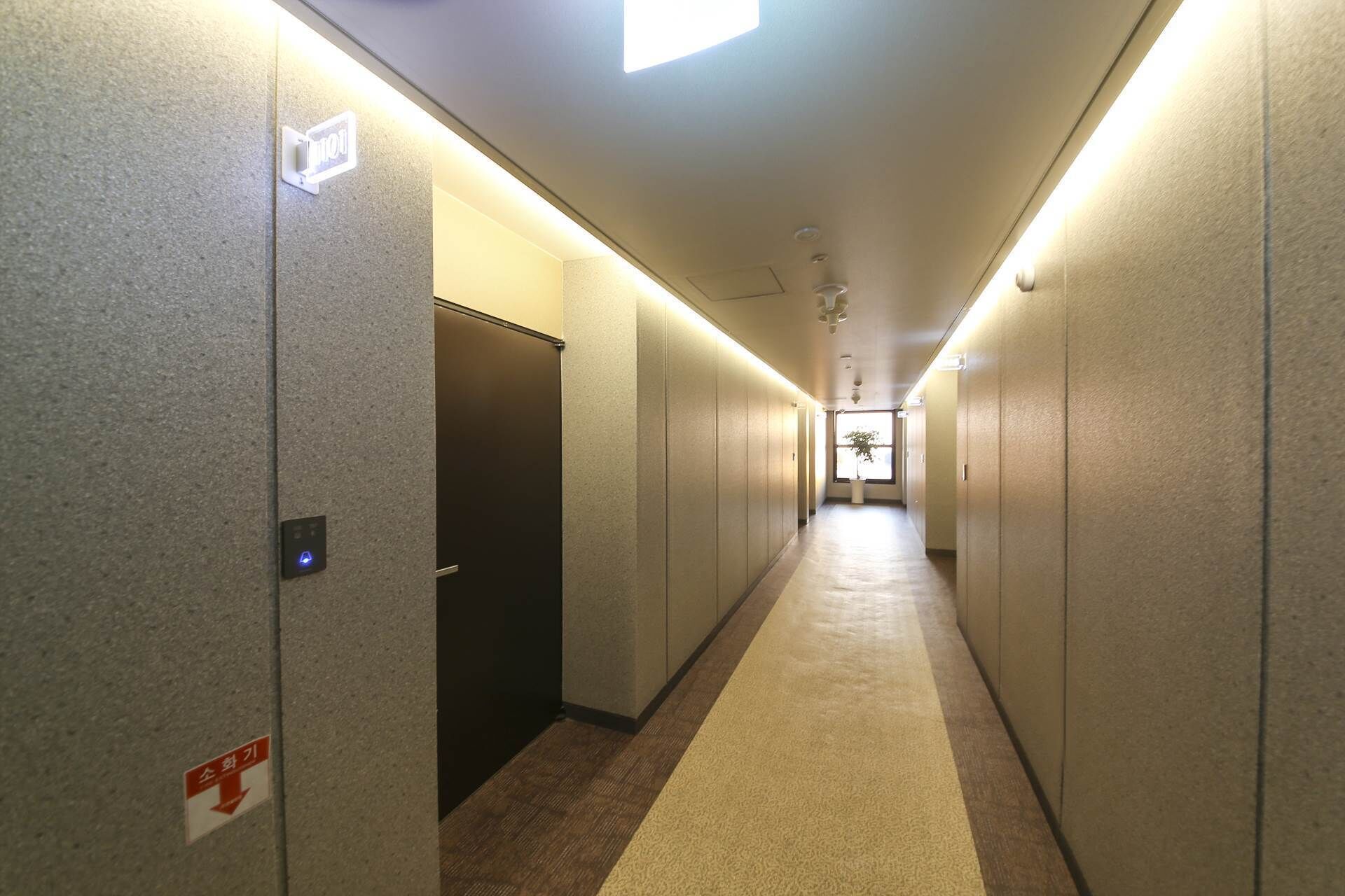 A hotel corridor with a carpeted floor, a ceiling fan, and a visible elevator.