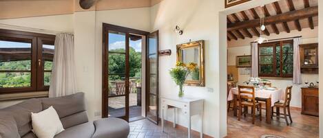 تلفزيون، مشغل دي في دي