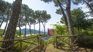 Un sentier qui traverse une zone boisée, bordée d’arbres imposants, et offre une vue sur un paysage lointain.