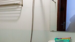 Een badkamer met toilet, douche met handdouche, wastafel en spiegel.