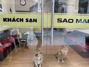 Exterior - Sao Mai Tim Hotel (Da Lat)