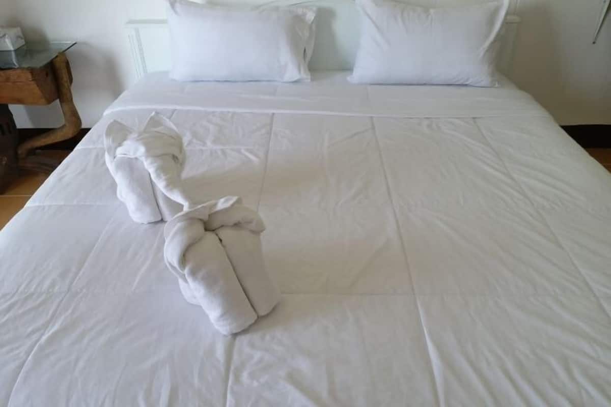 Free WiFi, bed sheets