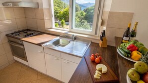 Een moderne keuken met een gasfornuis, een roestvrijstalen spoelbak en een raam met uitzicht op een bergachtig landschap.