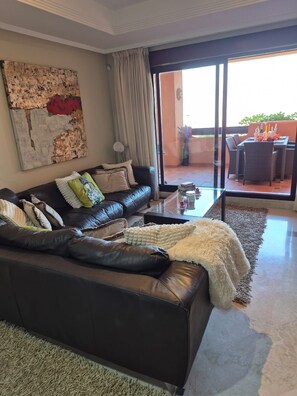 تلفزيون، مشغل دي في دي