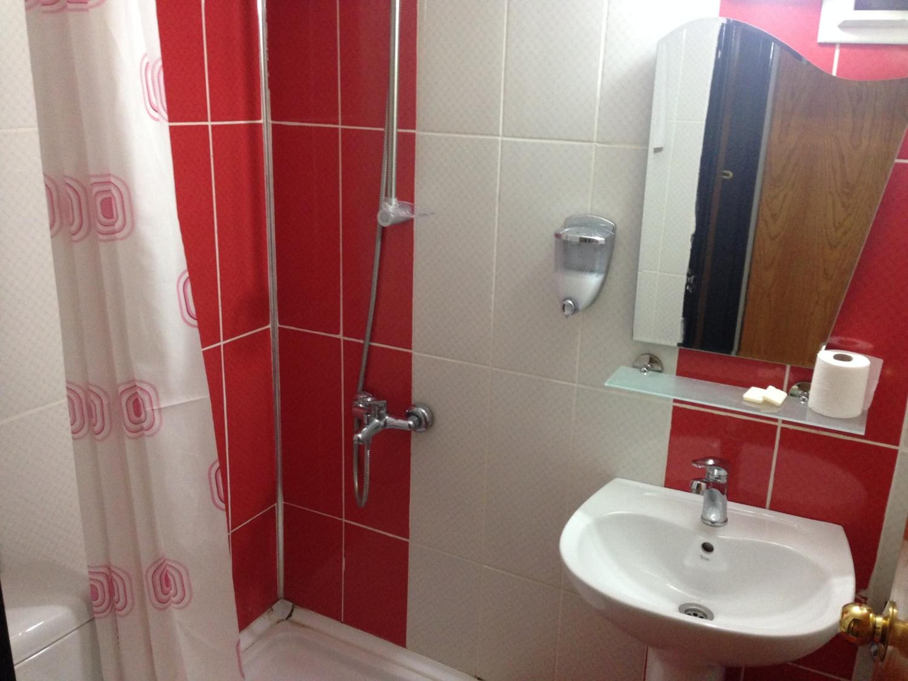 A bathroom with red and white tiles, a shower with a handheld showerhead, a sink with a gold faucet, and a mirror with a wooden frame.