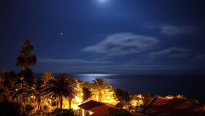 Scena notturna con vista illuminata dalla luna su una zona costiera, con palme e edifici dalle finestre accese.