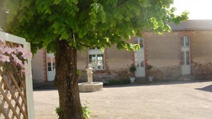 A courtyard with a large tree, a fountain, and a building with multiple windows and doors.