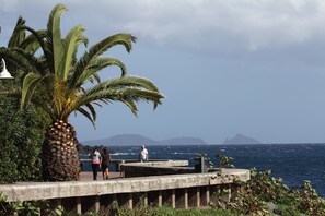A coastal walkway with palm trees and a view of the ocean.