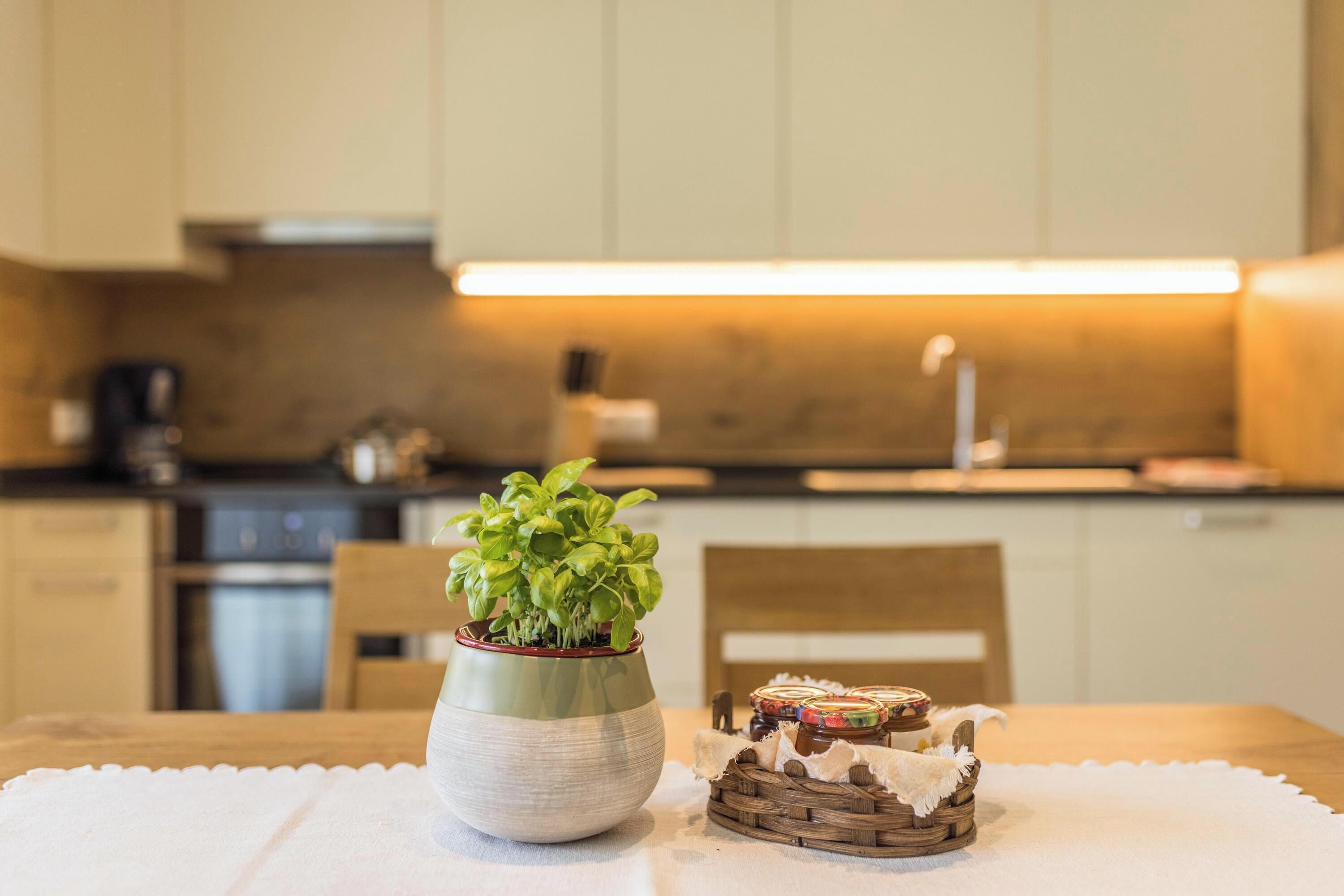 Kühlschrank, Ofen, Herdplatte, Geschirrspüler