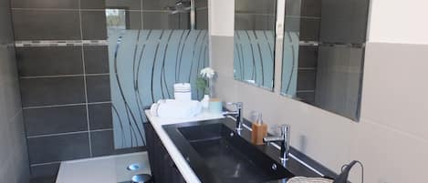 Regadera, secadora de cabello, toallas, papel de baño