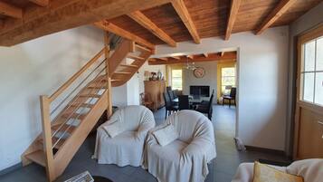 Télévision, cheminée, table de tennis de table