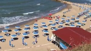 A beach with rows of sun loungers and umbrellas, a red-roofed building, and a rocky breakwater. - Two-room apartment, beachfront, floor 2 (Sunflower) (Anzio)