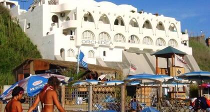 Studio, sea front, terrace, private beach access (Orchidea)