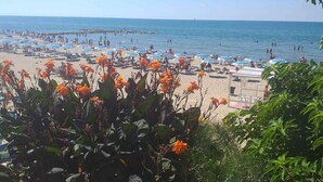 A beach with numerous umbrellas and sun loungers, a pier extending into the sea, and a clear sky. - Studio apartment, beachfront, floor 2, private descent to the beach (Narcissus) (Anzio)