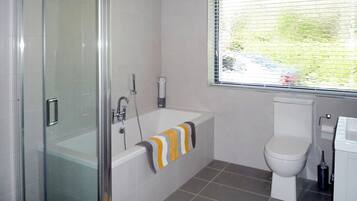 A bathroom with a glass shower enclosure, a bathtub, and a toilet.