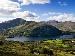 Interior detail - Derryleigh House (Boherboy)
