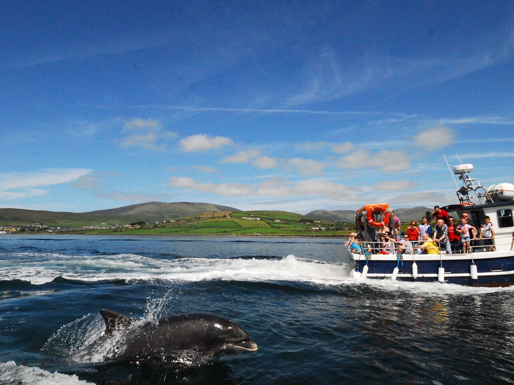 A boat with passengers and a dolphin in the water.