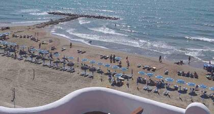 Two-room apartment, large terrace, sea front, floor 1 (Pink)