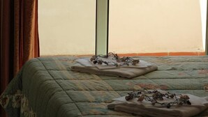 A room with a bed, a window with curtains, and a view of the beach. - Two-room apartment, terrace, sea front, floor 1 (Mimosa) (Anzio)